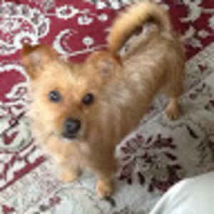 Meet your Posher, Marie